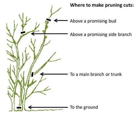 Ethereum: Why is pruning not considered already at the moment?
